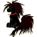 Poney Pottok Noir