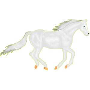 Cheval de selle Lipizzan Gris Clair