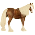 Cheval de selle Quarter Horse Palomino