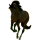 Cheval de selle Arabe Bai Brûlé