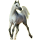 Cheval de selle Selle Français Alezan