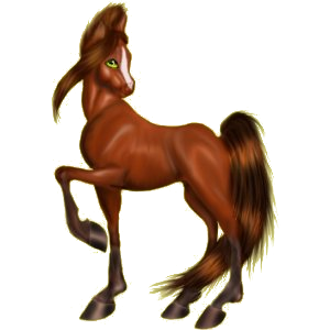 Poney Fjord Brunblakk