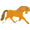 Cheval de selle Quarter Horse Alezan