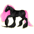 Cheval de selle Appaloosa Spotted Bai