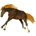 Cheval de selle Hanovrien Bai Cerise