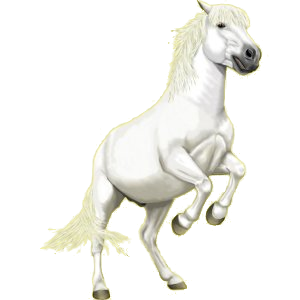 Cheval de selle Lipizzan Gris Clair