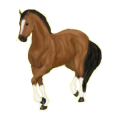 Poney Pottok Pie Tobiano Gris Pommelé