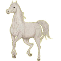 Cheval de selle Hunter Irlandais Gris Clair