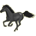 Cheval de selle Mustang Gris Clair
