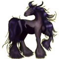 Cheval de selle Quarter Horse Bai