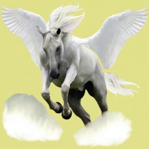 4275-normal.jpg