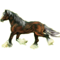 Cheval de selle Gris Clair