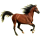Pégase de selle Lipizzan Gris Pommelé