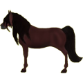 Poney Welsh Palomino