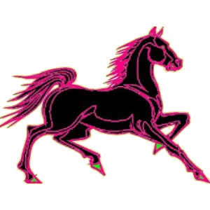 Pégase de selle Lipizzan Gris Clair