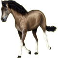 Poney Fjord Brunblakk