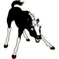 Cheval de selle Quarter Horse Alezan