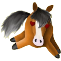 Poney Fjord Brunblakk