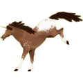 Licorne de selle Appaloosa Spotted Bai