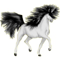 Licorne de selle Selle Français Gris Souris
