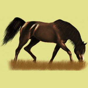 4766-normal.jpg