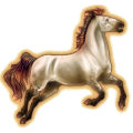 Poney Haflinger Alezan Crins Lavés