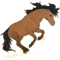 Poney Fjord Brunblakk