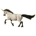 Licorne de selle Quarter Horse Bai