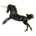 Licorne de selle Frison Noir