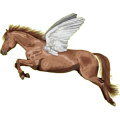 Pégase de selle Quarter Horse Alezan