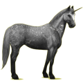 Licorne de selle Noir