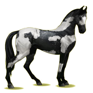 X