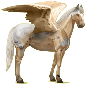 X