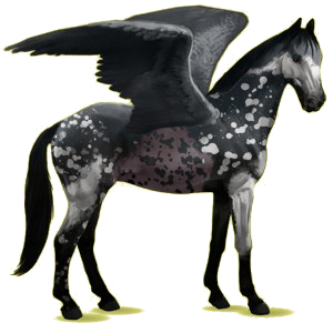 X