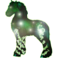 Poney Kerry Bog Noir