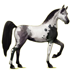 X