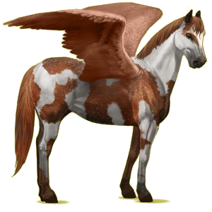X
