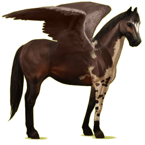 X