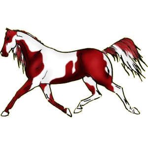 Cheval de selle Selle Français Rouan