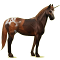 Licorne de selle Noir
