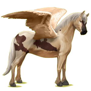 Poney pégase Connemara Gris Clair