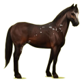 Cheval de selle Quarter Horse Palomino
