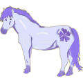 Poney Welsh Rouan