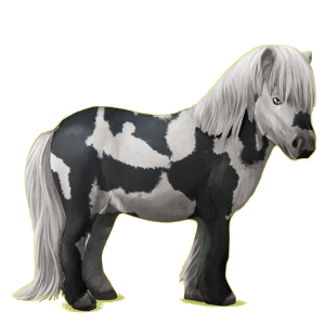 Poney pégase Shetland Bai