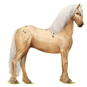 Cheval de selle Frison Noir