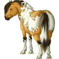 Poney New Forest Alezan