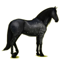 Cheval de selle Lipizzan Noir