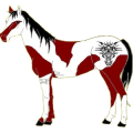 Cheval de selle Paint Horse Pie Alezan Overo