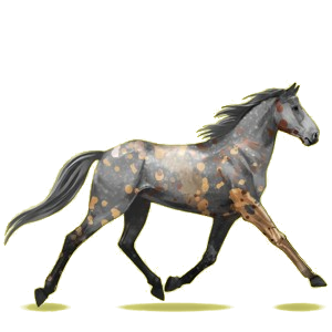 Cheval de selle Trotteur Américain Gris Pommelé