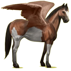X